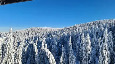 a mountain covered in snow with snow covered trees at Mountain Chalet Kopaonik in Kopaonik