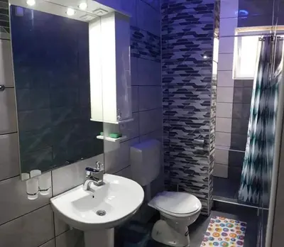 a bathroom with a sink and a toilet and a shower at Apartman Ivanovic 6 Sokobanja in Soko Banja