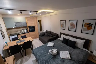 a living room with a bed and a dining room at Milmari - Apartman N85 in Kopaonik