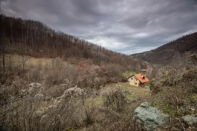 a house in the middle of a hill with trees at Vila Nada in Crni Vrh