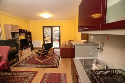 a kitchen with a sink and a living room at Vila Nada in Crni Vrh