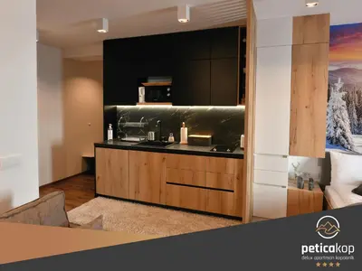 a kitchen with a sink and a counter top at Apartman PETICA KOP A8 Kopaonik in Kopaonik