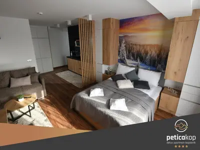 a bedroom with a bed and a couch at Apartman PETICA KOP A8 Kopaonik in Kopaonik