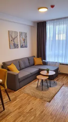 a living room with a couch and a table at Relax apartment Kopaonik in Kopaonik