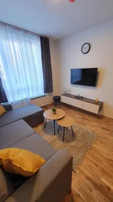 a living room with a couch and a tv at Relax apartment Kopaonik in Kopaonik