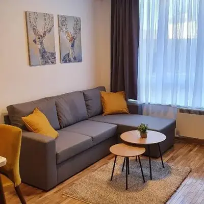 Relax apartment Kopaonik
