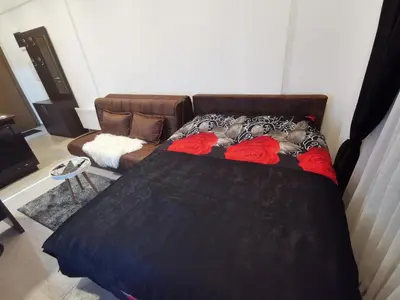 a couch with two dogs laying on it in a living room at Kopaonik apartmani NR in Kopaonik