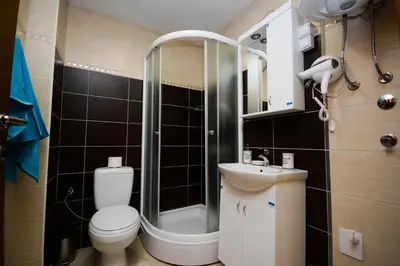 a bathroom with a toilet and a sink and a shower at Apartman Nikolina in Vrnjačka Banja