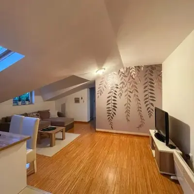 Apartman Savic