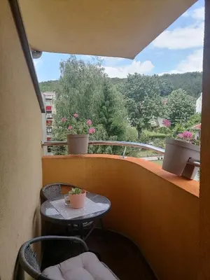 Gallery image of Apartman Savic in Vrnjačka Banja