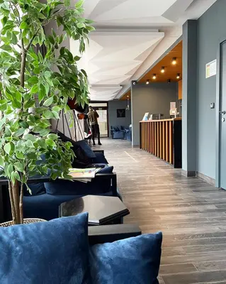 a row of blue chairs in an office with trees at Ski Adventure - Brzeće, Kopaonik in Kopaonik