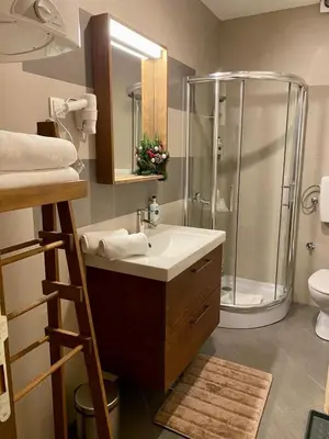 a bathroom with a sink and a shower and a toilet at Ski Adventure - Brzeće, Kopaonik in Kopaonik