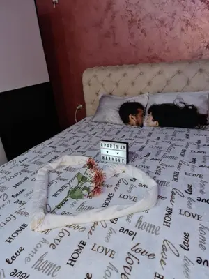 two dogs laying on top of a bed at Apartman -HARMONY- in Paraćin
