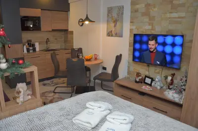 a living room with a kitchen and a television on a wall at Apartman Enjoy N82 Milmari&spa in Kopaonik