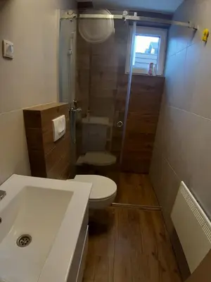 a bathroom with a shower and a toilet and a sink at Ajrin Apartman Kopaonik in Kopaonik