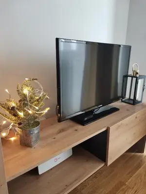 a television on a wooden stand with a christmas tree at Apartman Kardaš in Vrnjačka Banja