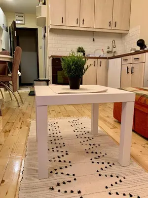 a white table in a kitchen with a potted plant at Ski-in & Ski-out, Apartman Filip - 30m from GONDOLA Brzeće in Kopaonik
