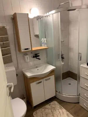 a bathroom with a shower and a sink and a toilet at Ski-in & Ski-out, Apartman Filip - 30m from GONDOLA Brzeće in Kopaonik