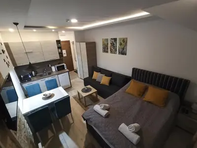 a living room with a couch and a kitchen at Kopaonik Milmari Mili P75 in Kopaonik