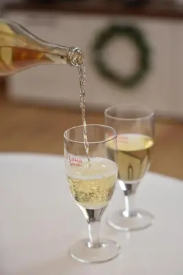 a person pouring wine into a wine glass at Pegaz Premium Apartman Privatan Parking in Kopaonik