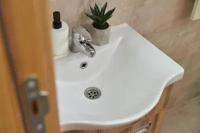 a bathroom sink with a potted plant on it at Pegaz Premium Apartman Privatan Parking in Kopaonik