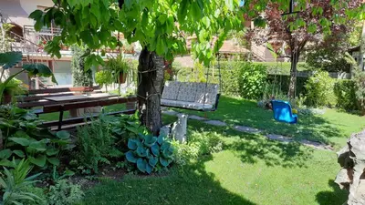 a park bench sitting under a tree in a yard at Apartman 1 Miljković in Soko Banja