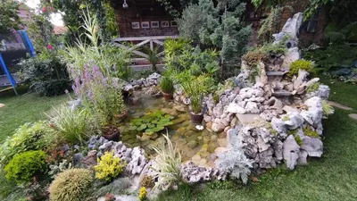 a garden with a pond with rocks and plants at Apartman 1 Miljković in Soko Banja