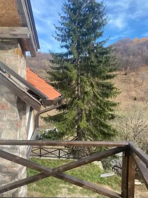 a view of a pine tree from a balcony at Dvosobni apartmani KopaNiK, Kopaonik (Brzece) in Brzeće