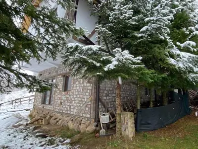 a house with snow on the branches of a tree at Dvosobni apartmani KopaNiK, Kopaonik (Brzece) in Brzeće