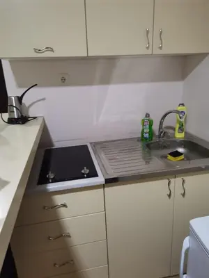 a small kitchen with a sink and a stove at Apartmani Nedeljkovic Brzece Kopaonik in Brzeće