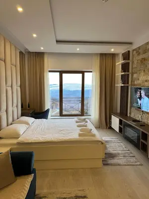 a bedroom with a large bed and a large window at Apartman Holiday in Kopaonik