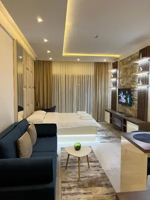 a bedroom with a bed and a couch and a tv at Apartman Holiday in Kopaonik