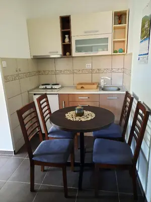a kitchen with a table and chairs in a kitchen at Studio 2 Miljković in Soko Banja