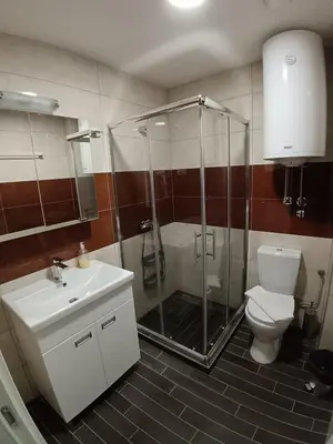 a bathroom with a shower and a toilet and a sink at Wolf Apartments Kopaonik in Kopaonik