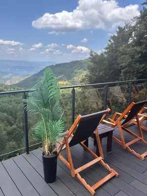 two chairs and a potted plant on a wooden deck at Mountain Bliss Residence - Milmari Spa & Wellness in Kopaonik