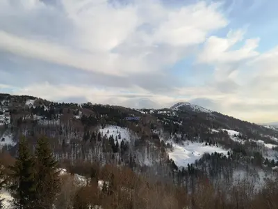 a mountain with trees and snow on it at Zoned II Kopaonik - Studio Njegomir in Kopaonik
