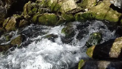 a stream of water rushing over rocks at Apartmani Grza in Paraćin