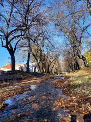 a road with a bunch of trees and a creek at Studio Diamondlux Vrnjačka Banja in Vrnjačka Banja