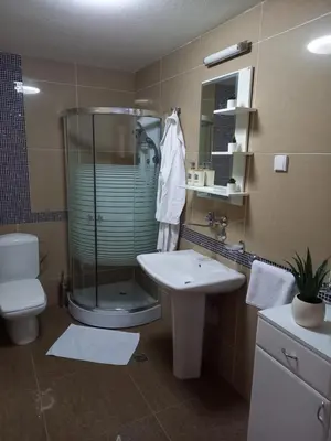a bathroom with a shower and a sink and a toilet at Studio Diamondlux Vrnjačka Banja in Vrnjačka Banja