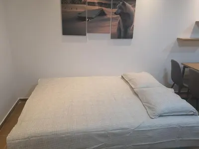 a bed in a room with three paintings on the wall at Beli Vuk in Kopaonik
