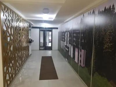 a hallway with a wall with paintings on it at Beli Vuk in Kopaonik