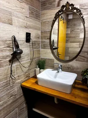 a bathroom with a white sink and a mirror at Lozanski ambar in Boljevac