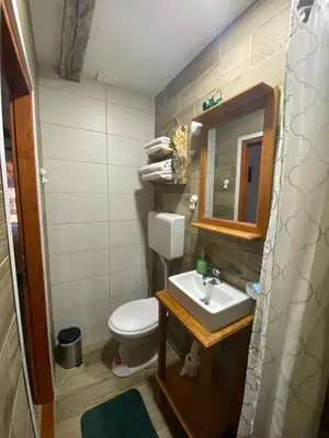 a bathroom with a toilet and a sink and a mirror at Mitrović in Boljevac