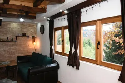 a living room with a couch and a window at Vikendica Čeperković #3 in Kopaonik