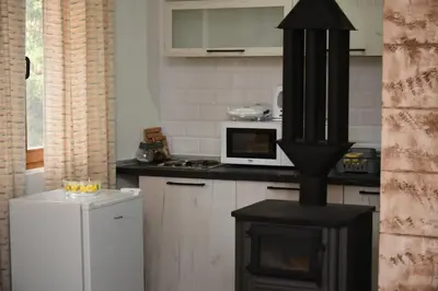 a kitchen with a stove in the middle of a kitchen at Vikendica Čeperković #3 in Kopaonik
