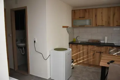 a small kitchen with a sink and a refrigerator at Vikendica Čeperković #3 in Kopaonik