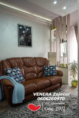 a brown leather couch in a living room at Spa Apartman URBAN Life ZAJEČAR in Zaječar