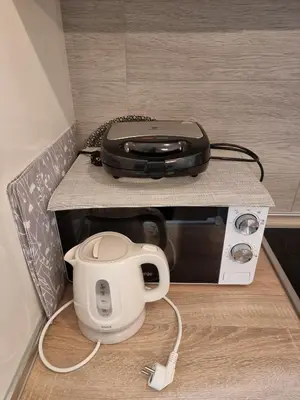a toaster sitting on a counter next to a microwave at KopStar Apartment Kopaonik G2 in Kopaonik