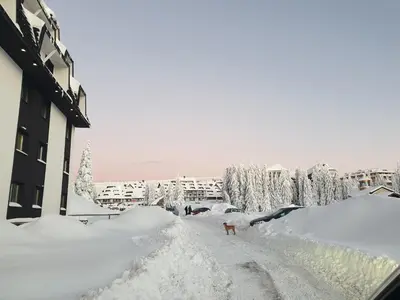a street covered in snow next to a building at Apartman Noalux 2 Kopaonik in Kopaonik