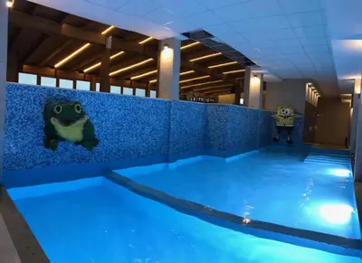 a pool of water with a frog on the wall at Apartman Premier 32 Milmari in Kopaonik
